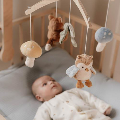 Immagine di Giostrina , multicolore