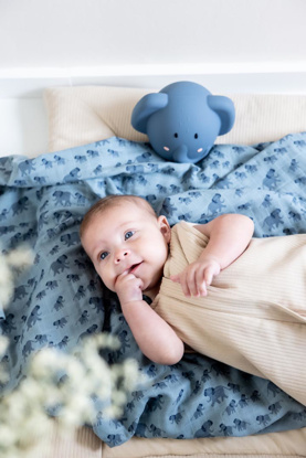Immagine di Lampada notturna Mrs Elephant, blu