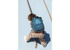 Immagine di Zainetto Mr. Triceratops, blu