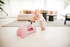 Immagine di Cavalcabile My First, rosa