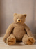 Immagine di Peluche attività , marrone