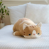 Immagine di Peluche attività Mugi il Gatto Marrone, marrone