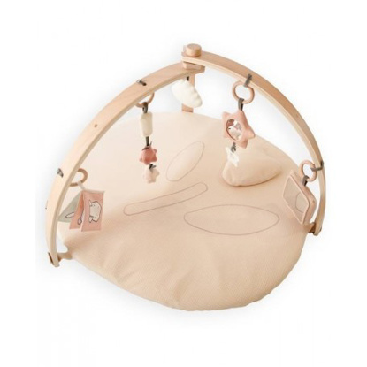 Immagine di Palestrina Tulips, rosa antico